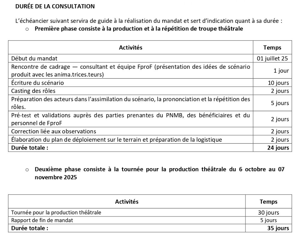 Recrutement D'un Consultant.e en élaboration de capsules vidéo pour le projet Femmes pro-Forêts en Guinée | Page 4