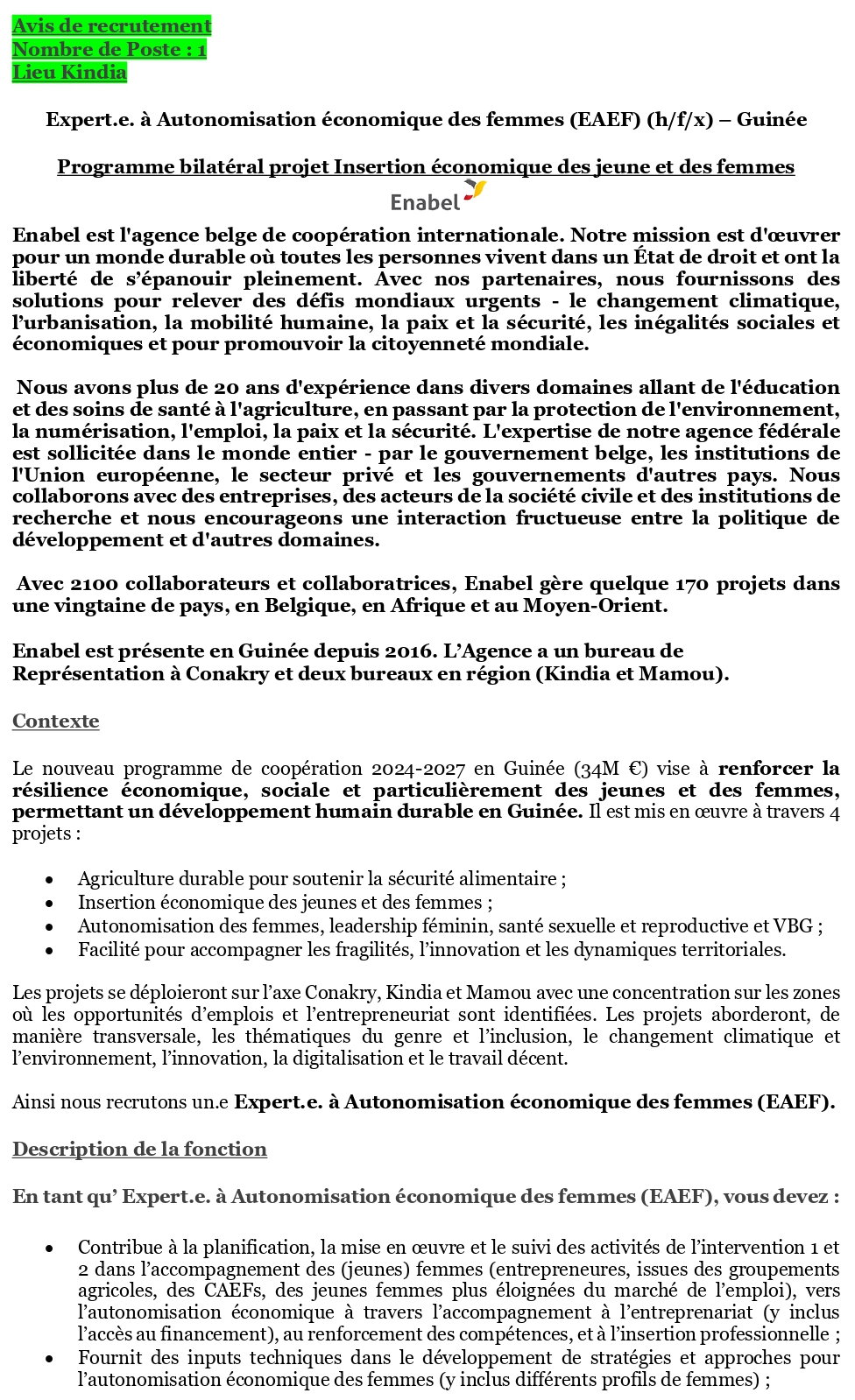 Avis de recrutement d'un.e Expert.e. à Autonomisation économique des femmes (EAEF) (h/f/x) – Guinée | page 1