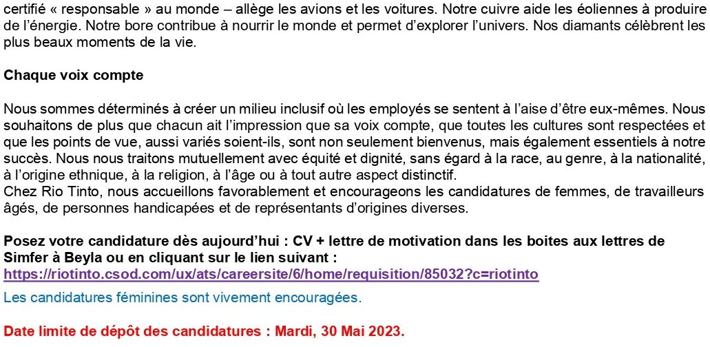 Un / Une (1) Conseiller (ère) Sénior Analyste d'Affaires | page 2