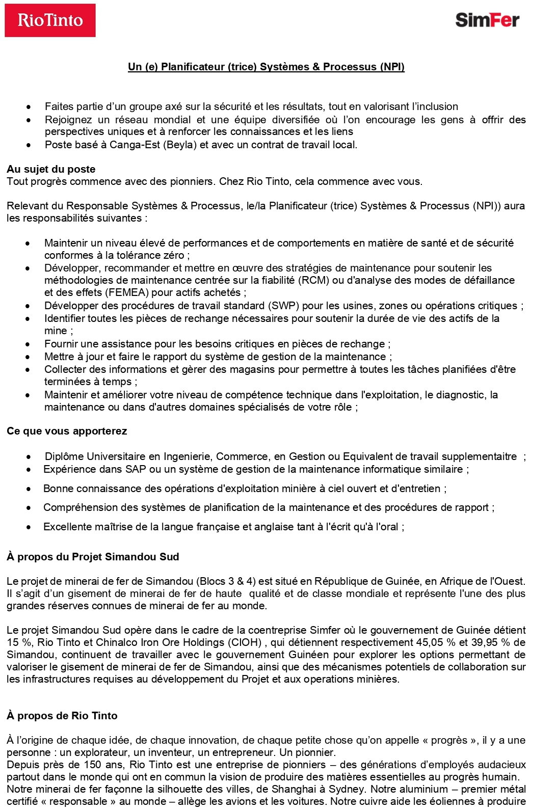 Un (e) Planificateur (trice) Systèmes & Processus (NPI) | Page 1