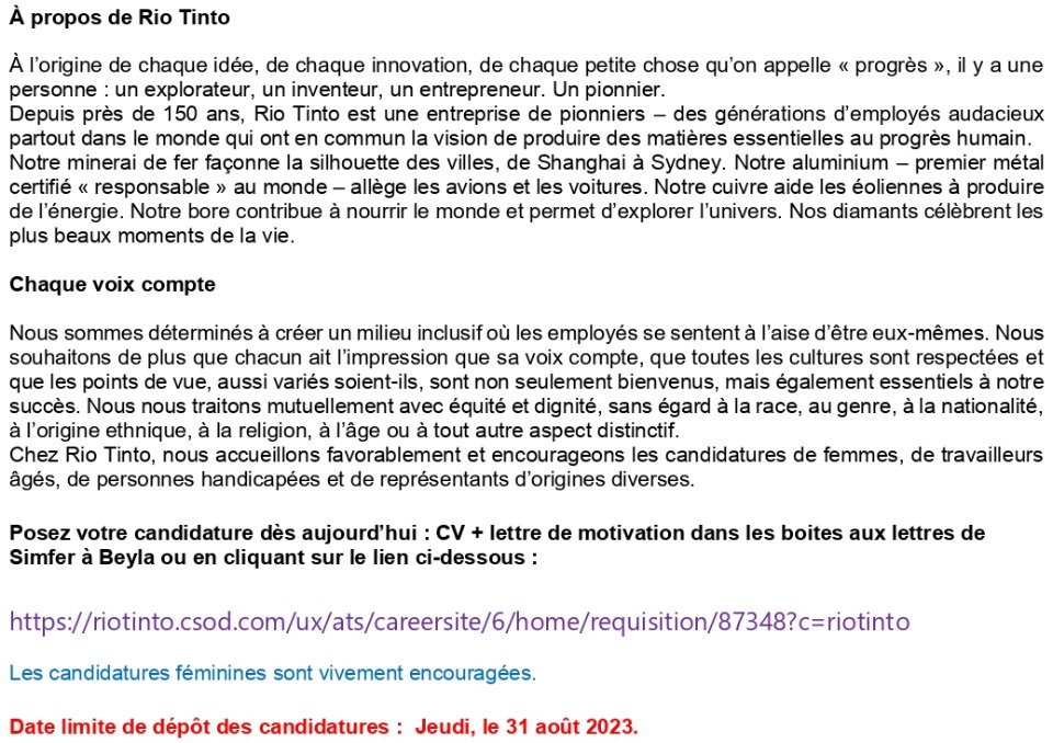 Un (e) Spécialiste Risque IT | Page 2