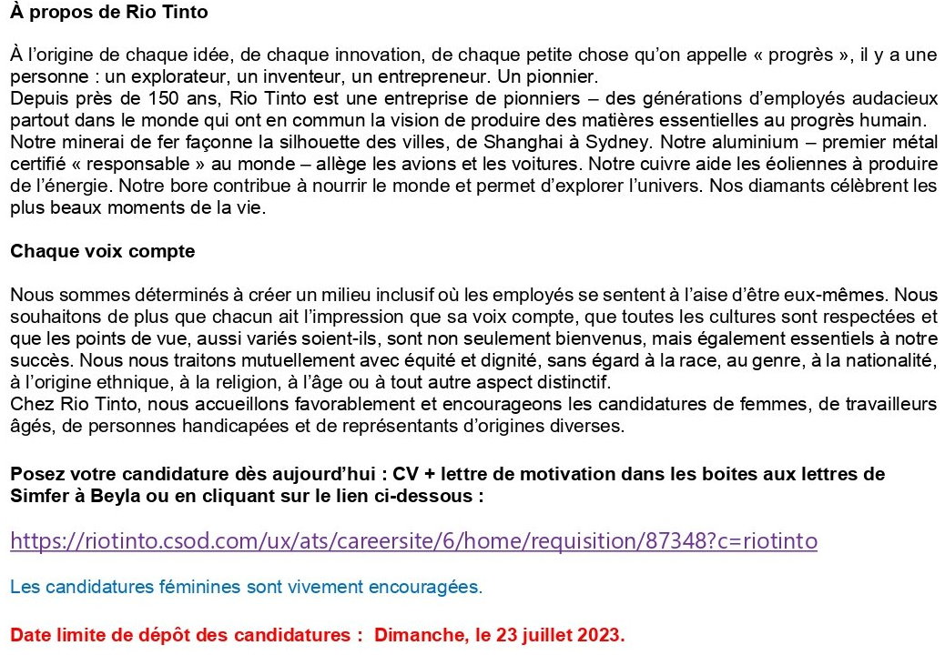 Un (e) Spécialiste Risque IT | Page 2