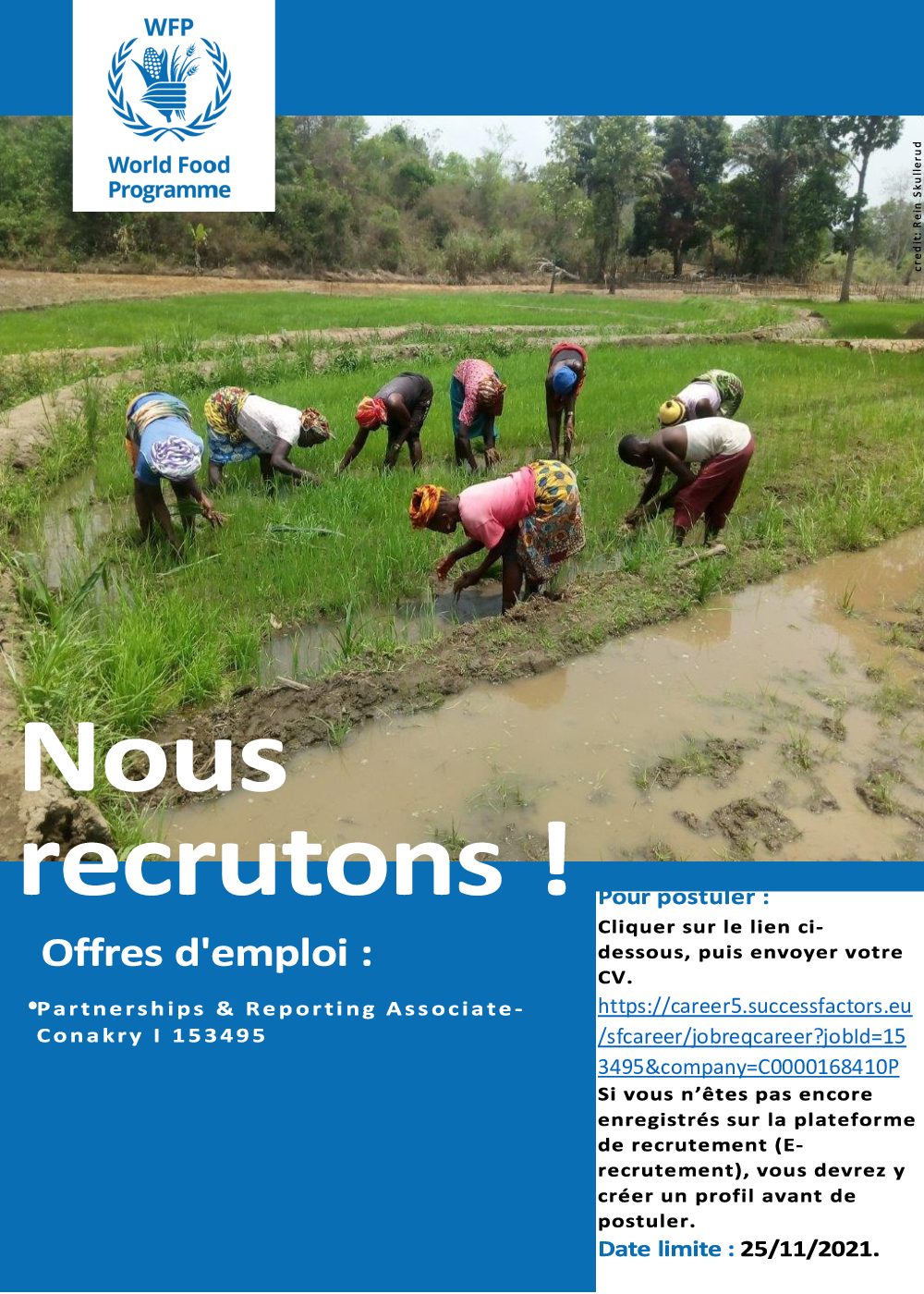 Avis de recrutement d'un partnerships & reporting associate - Conakry | 153495