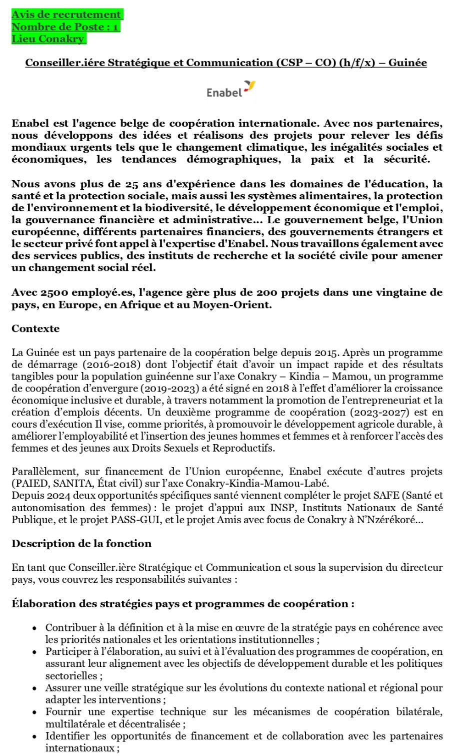 Avis de recrutement d'un Conseiller.iére Stratégique et Communication (CSP – CO) (h/f/x) – Guinée | Page 1