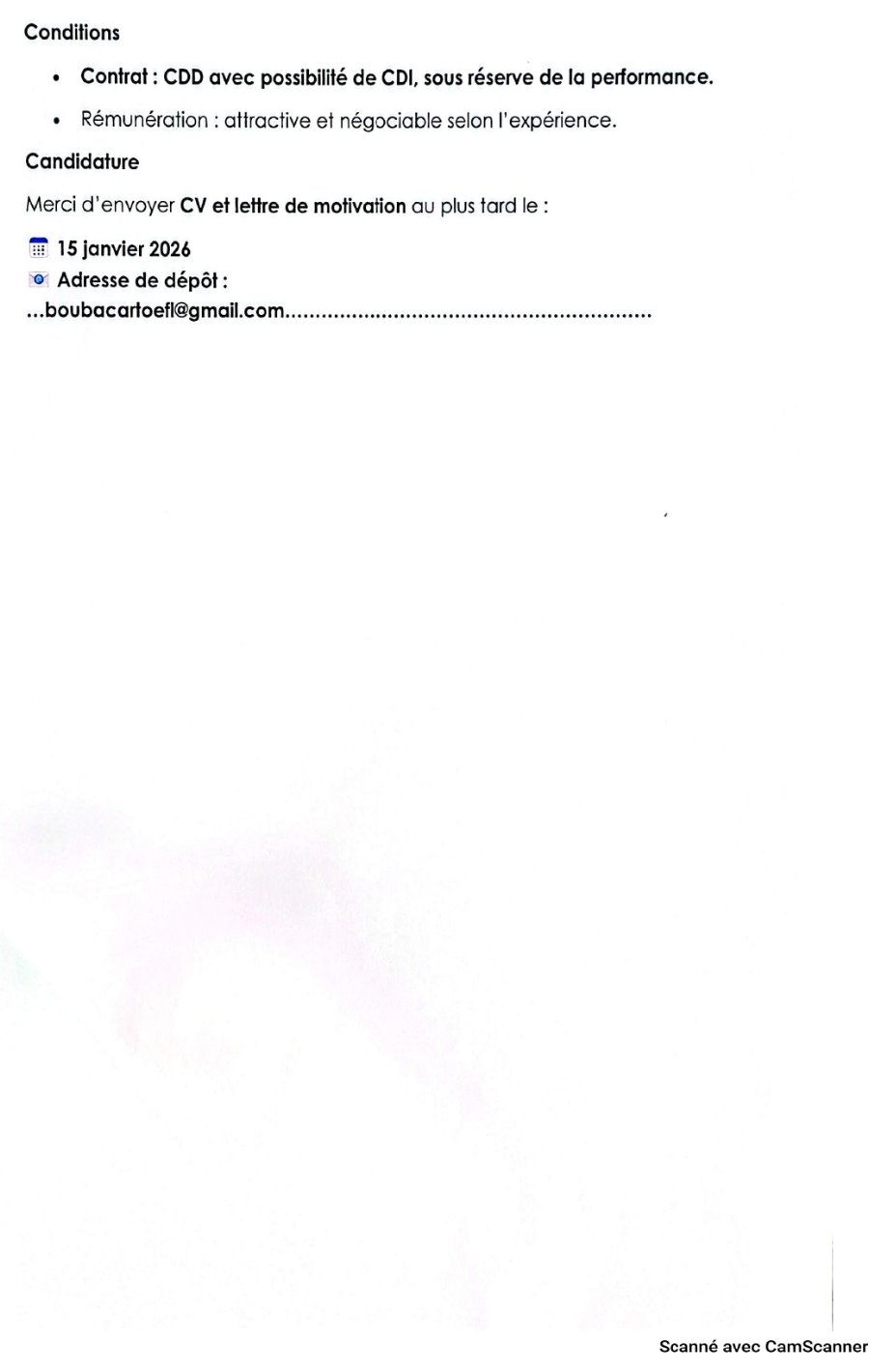 Avis de recrutement d'un Directeur Général / Responsable | Page 2