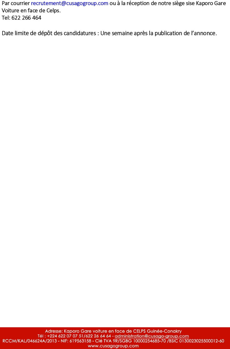 DIRECTEUR(TRICE) COMMERCIAL(E) | page 3