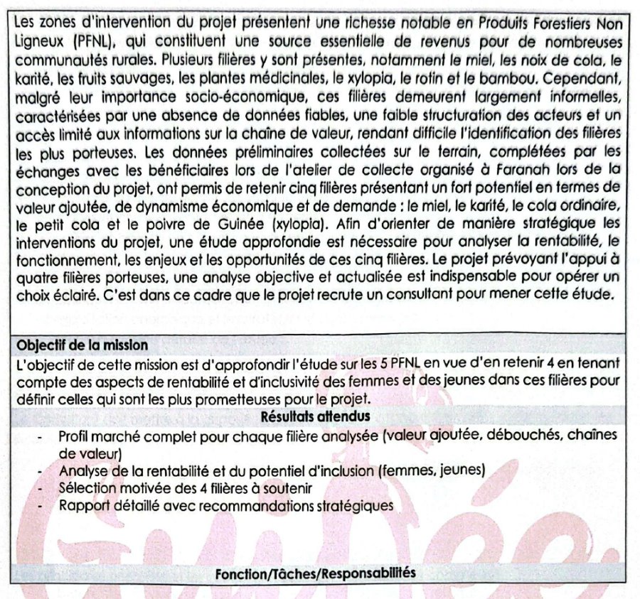 Avis de recrutement d’ingénieur agronome, Ingénieur Agroéconomiste, Ingénieur forestier, ou tout autre compétence similaire | Page 3
