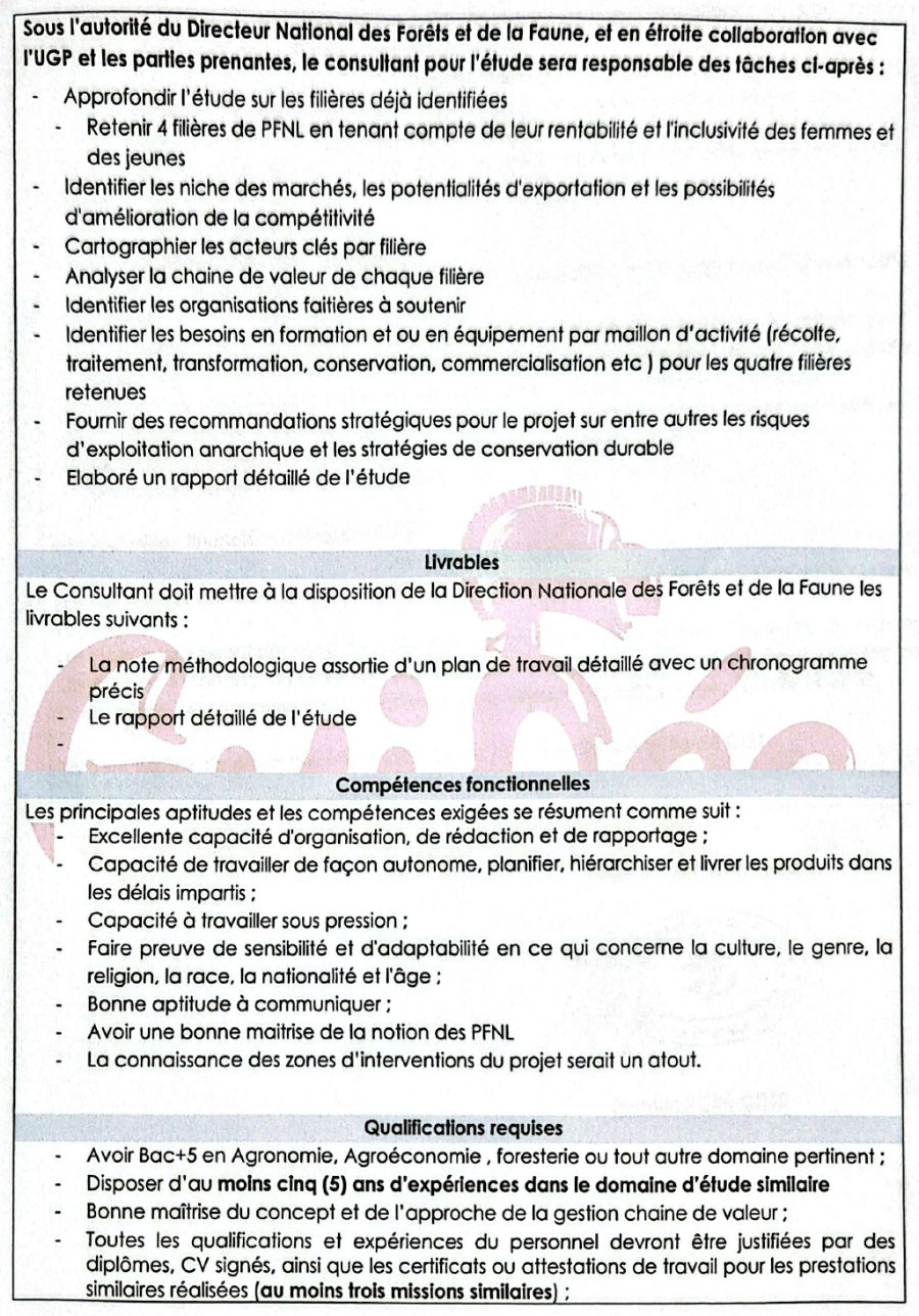 Avis de recrutement d’ingénieur agronome, Ingénieur Agroéconomiste, Ingénieur forestier, ou tout autre compétence similaire | Page 4