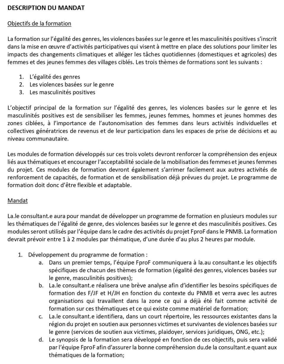 Consultant.e en égalité de genre pour le développement d’un programme de formation en égalité de genre, en violences basées sur le genre et en masculinités positives | Page 2