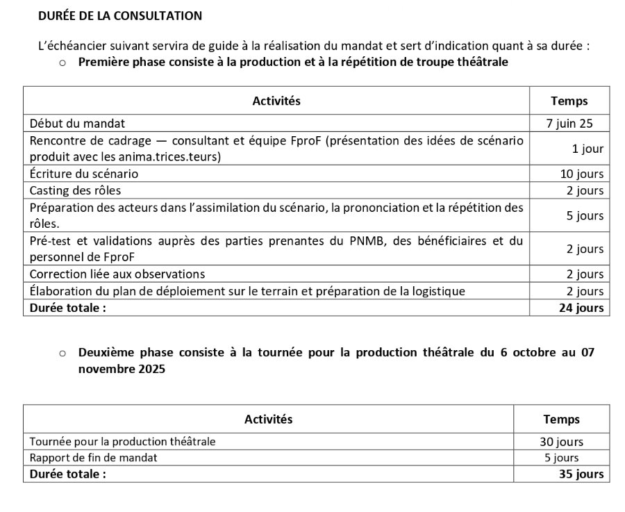 Consultant.e en élaboration d’une pièce de théâtre et sa production dans les villages pour le projet  Femmes pro-Forêts en Guinée | Page 4