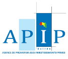 APIP-Guin&eacute;e Appels d'offre en guinée