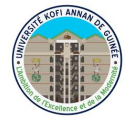 Universit&eacute; Kofi Annan (UKAG) Offres d'emploi en guinée