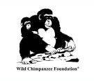 Wild Chimpanzee Foundation (WCF) Offres d'emploi en guinée