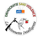 D&eacute;mocratie Sans Violence-BI (DSV-BI)  Offres d'emploi en guinée