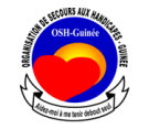 OSH Guin&eacute;e Offres d'emploi en guinée