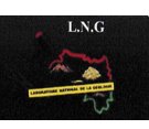 LNG offres d'emploi en guinée