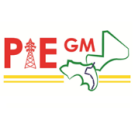 PIEGM Appels d'offre en guinée